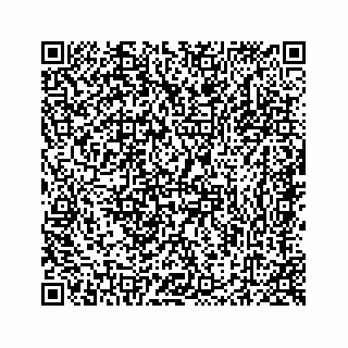 vCard 78423735387