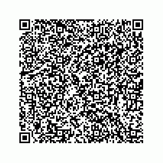 vCard 78423735389