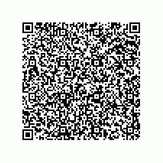 vCard 78424165131
