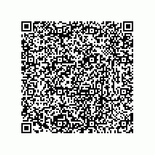 vCard 78424165133