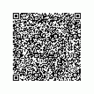 vCard 78424165181