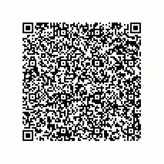 vCard 78424165209