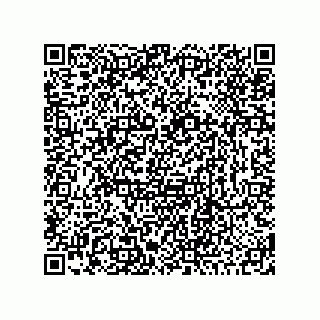 vCard 78424174729