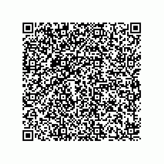 vCard 78424241119