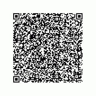 vCard 78424241131