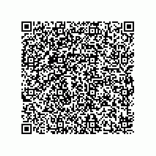 vCard 78424241133