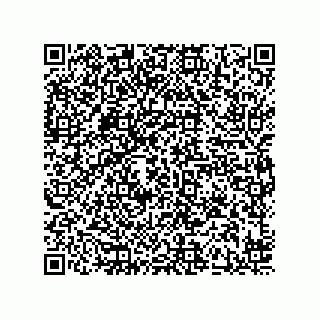 vCard 78424241137