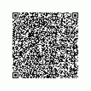 vCard 78424241179
