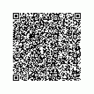 vCard 78424241181