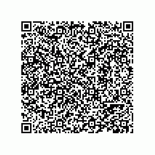 vCard 78424257100