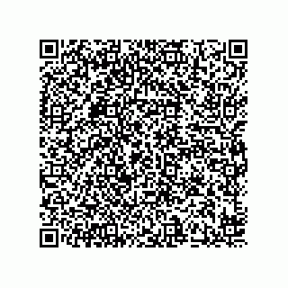 vCard 78424257139