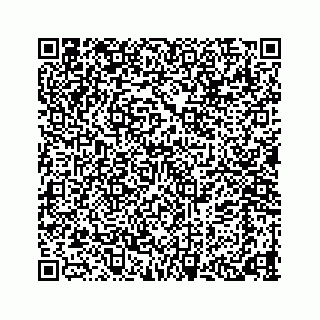 vCard 78424353109