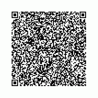 vCard 78424353301