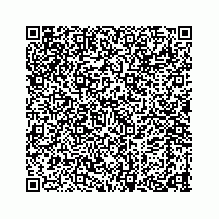 vCard 78424353311