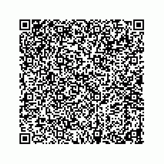 vCard 78424353315