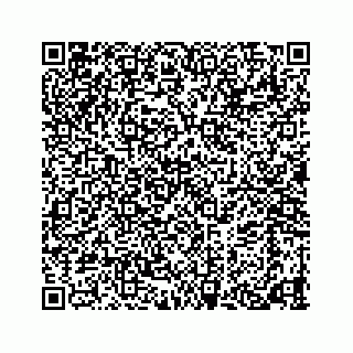 vCard 78424353319
