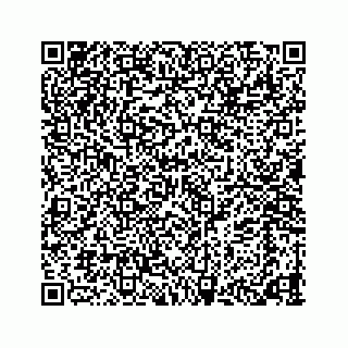 vCard 78424353381