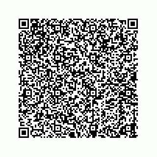 vCard 78424353400