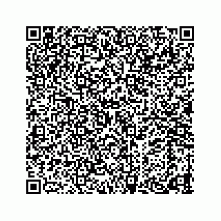 vCard 78424359037
