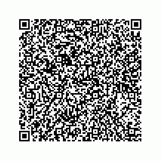 vCard 78424375552