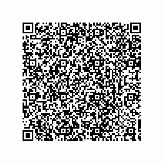 vCard 78424437313