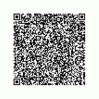 vCard 78424437333