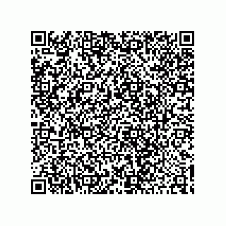 vCard 78424441109