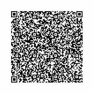 vCard 78424544131