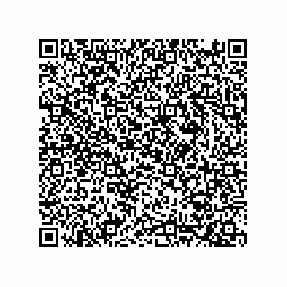 vCard 78424660013