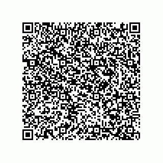 vCard 78424660029