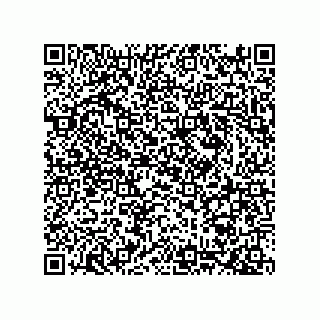vCard 78424660040