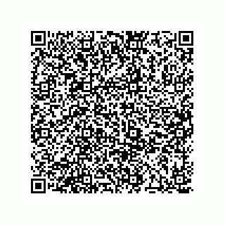 vCard 78424660041
