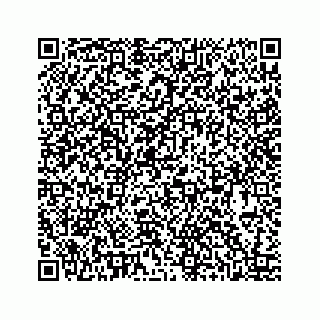 vCard 78424735531