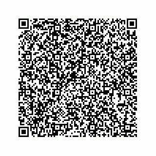 vCard 78424735533