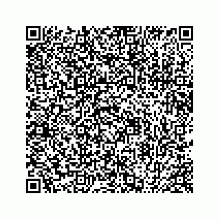 vCard 78424735537