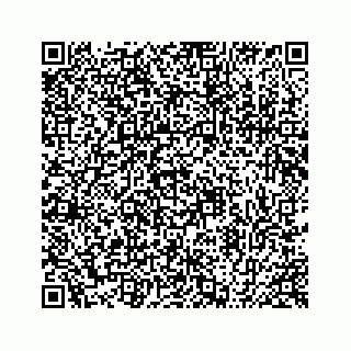 vCard 78424735538