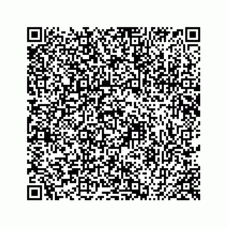vCard 78424735539
