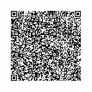 vCard 78424735540