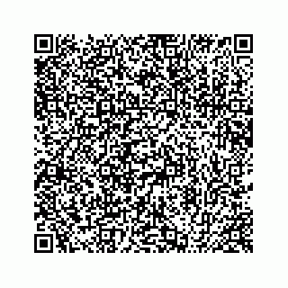 vCard 78424735552