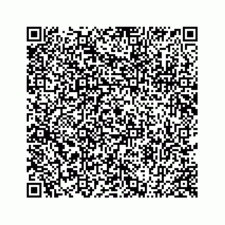 vCard 78424737108