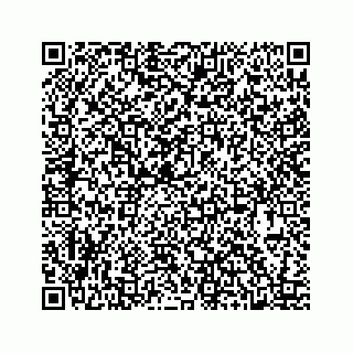 vCard 78424739163