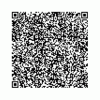 vCard 78424739208