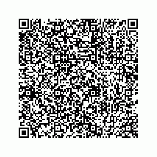 vCard 78424739270
