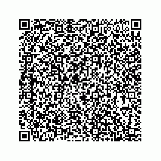 vCard 78424739286