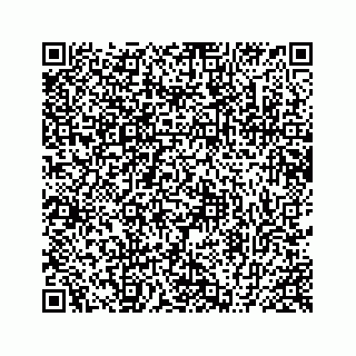 vCard 78424739313