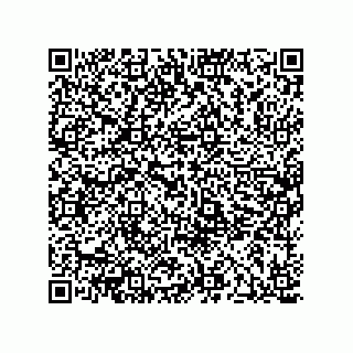 vCard 78424837131