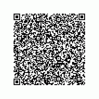 vCard 78424837133