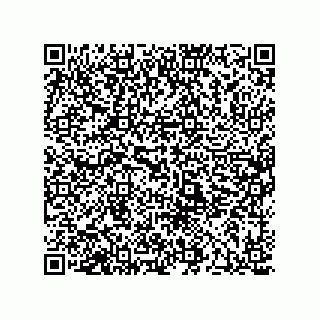 vCard 78424837137