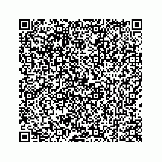 vCard 78424936681