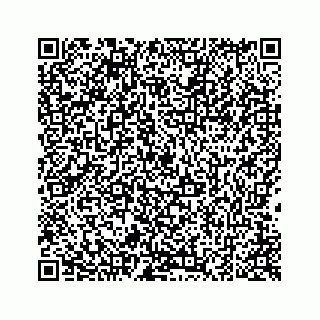 vCard 78424936700
